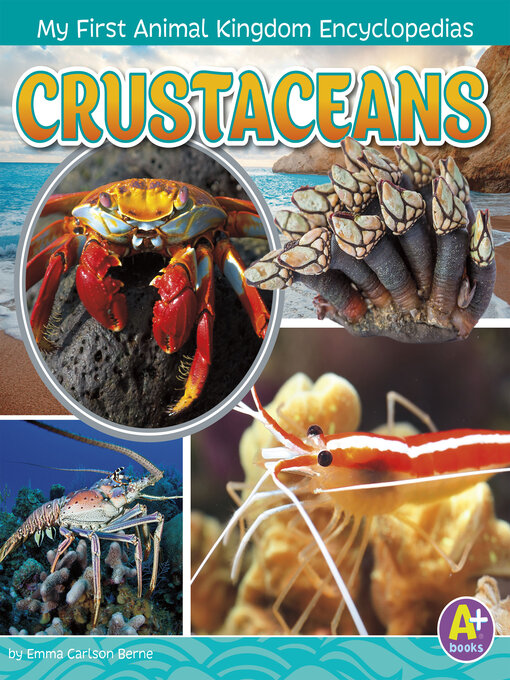 Title details for Crustaceans by Emma Bernay - Available